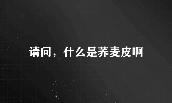 请问，什么是荞麦皮啊