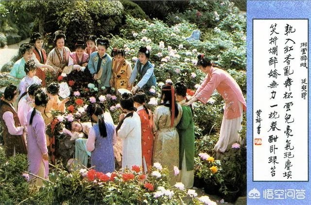贾母不是爱漂亮女孩子吗?可为何不待见邢岫烟?