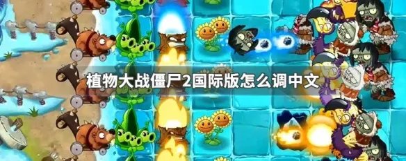 植物大战僵尸2国际版怎么调中文