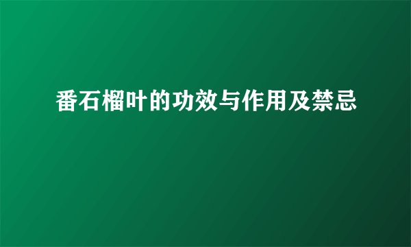 番石榴叶的功效与作用及禁忌