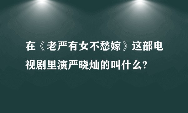 在《老严有女不愁嫁》这部电视剧里演严晓灿的叫什么?