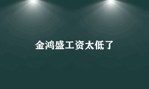 金鸿盛工资太低了