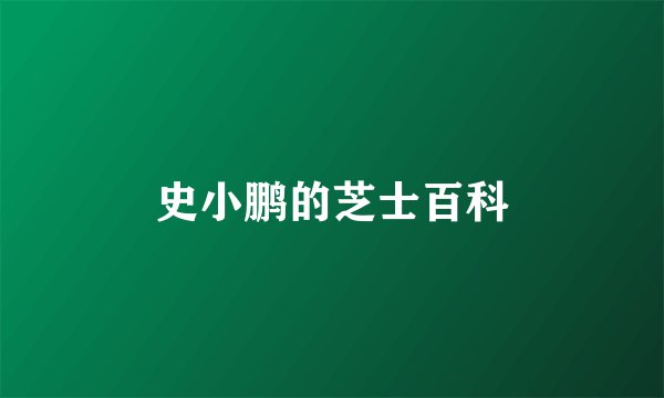 史小鹏的芝士百科