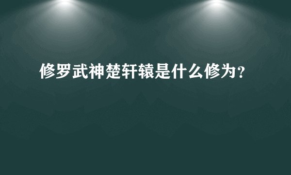 修罗武神楚轩辕是什么修为？