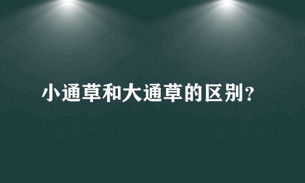 小通草和大通草的区别？