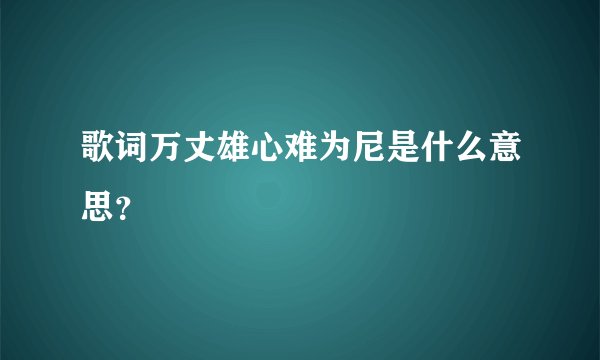 歌词万丈雄心难为尼是什么意思？