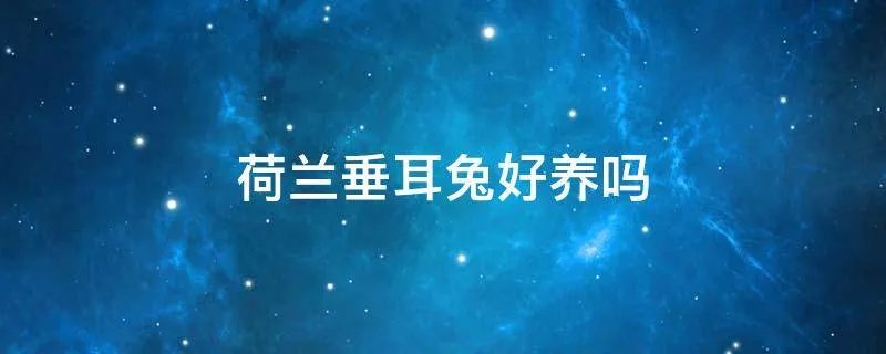 荷兰垂耳兔好养吗