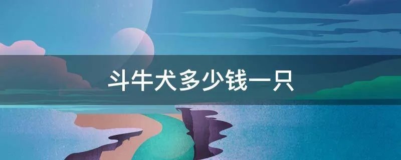 斗牛犬多少钱一只