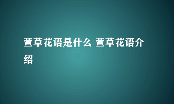 萱草花语是什么 萱草花语介绍
