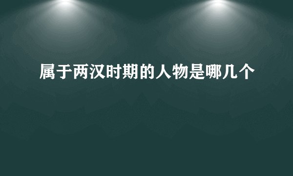 属于两汉时期的人物是哪几个