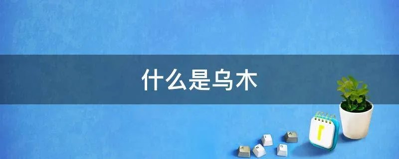 什么是乌木