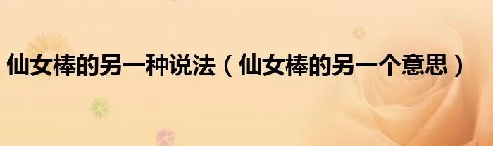 仙女棒的另一种说法(仙女棒的另一个意思)