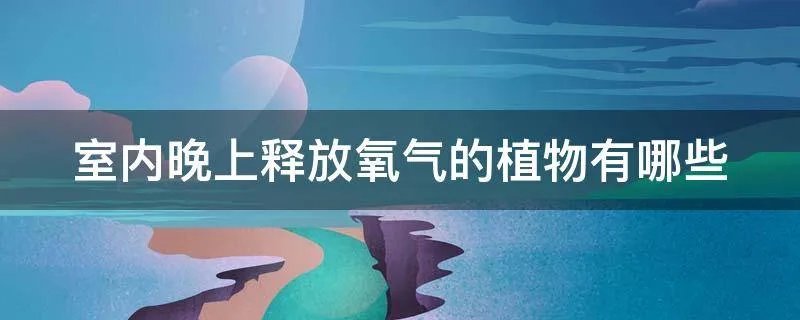 室内晚上释放氧气的植物有哪些