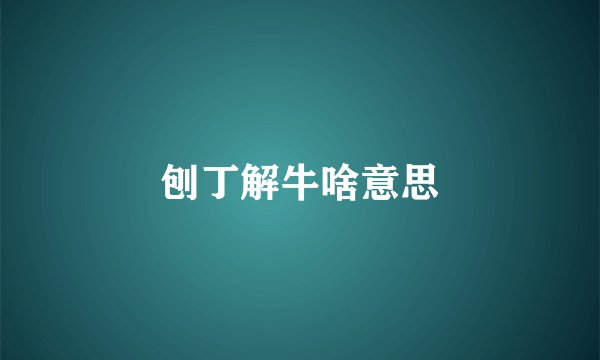 刨丁解牛啥意思