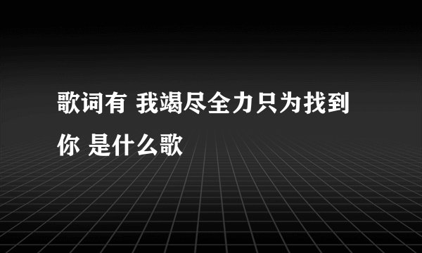 歌词有 我竭尽全力只为找到你 是什么歌