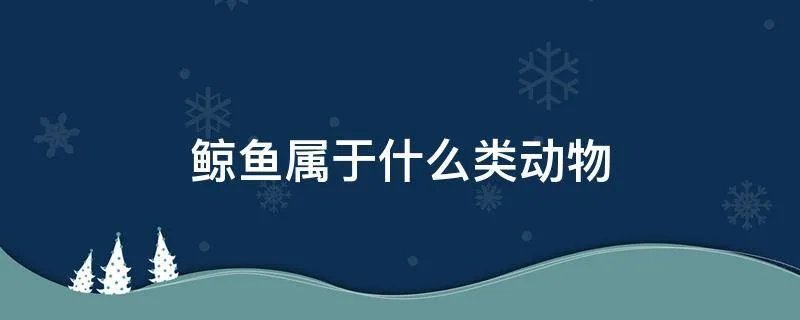 鲸鱼属于什么类动物