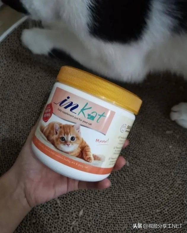 有没有比较好的猫粮推荐一下?