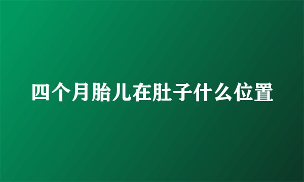 四个月胎儿在肚子什么位置