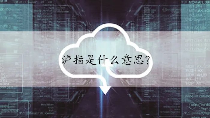 泸指是什么意思？