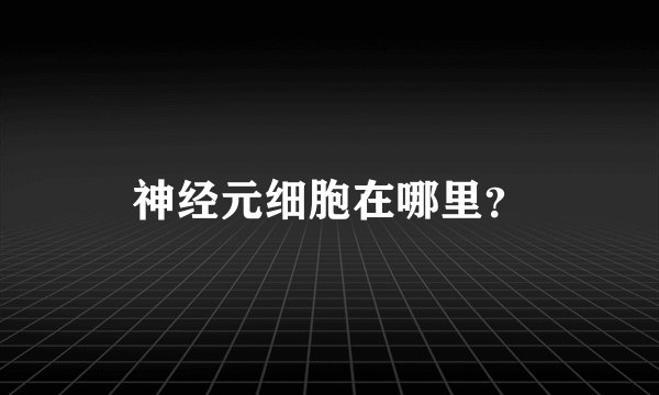神经元细胞在哪里？