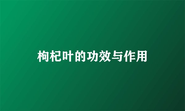 枸杞叶的功效与作用