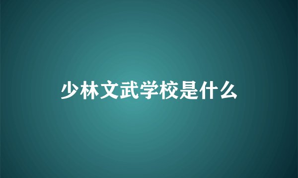 少林文武学校是什么