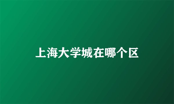 上海大学城在哪个区