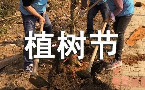 植树节活动策划方案