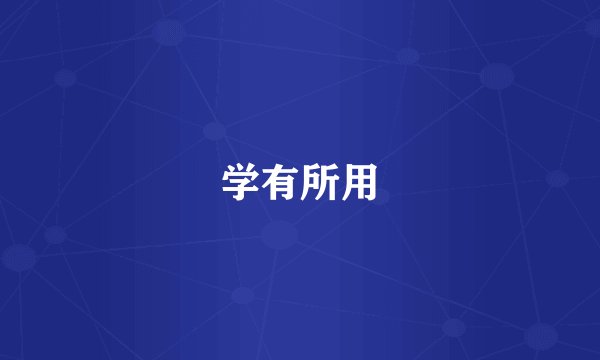 学有所用