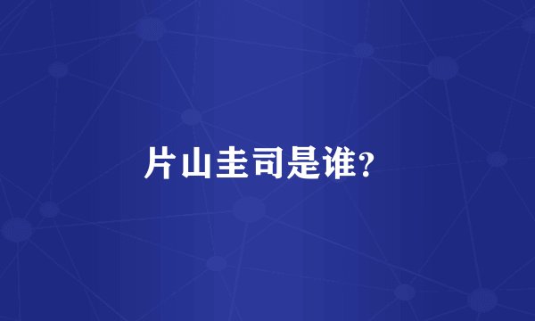 片山圭司是谁？