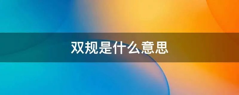 双规是什么意思