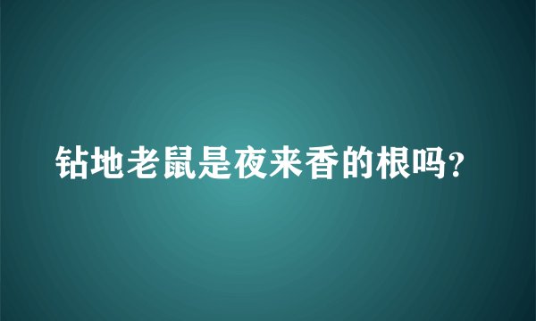 钻地老鼠是夜来香的根吗?
