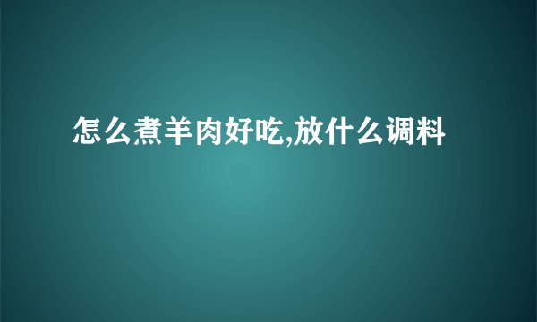 怎么煮羊肉好吃,放什么调料