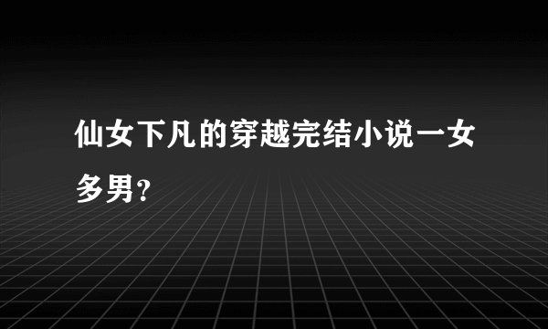 仙女下凡的穿越完结小说一女多男？