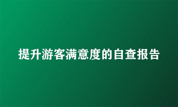 提升游客满意度的自查报告
