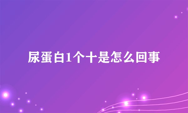 尿蛋白1个十是怎么回事