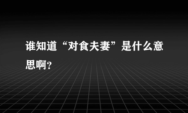谁知道“对食夫妻”是什么意思啊?