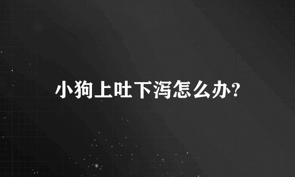 小狗上吐下泻怎么办?