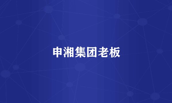 申湘集团老板