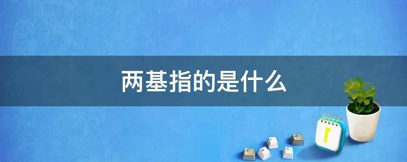 两基指的是什么