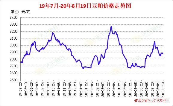 今日豆粕价格如何?