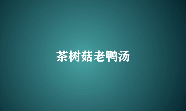 茶树菇老鸭汤