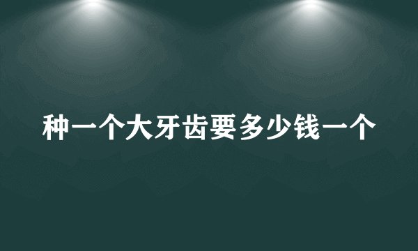 种一个大牙齿要多少钱一个
