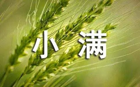 描写小满的诗句