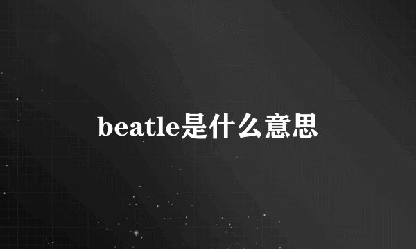beatle是什么意思