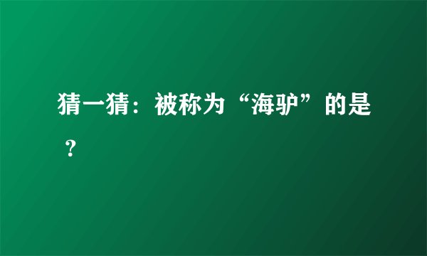 猜一猜：被称为“海驴”的是 ？