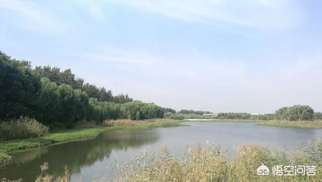 潍坊湿地公园在哪里?有多大?