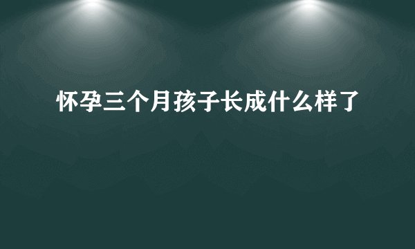 怀孕三个月孩子长成什么样了