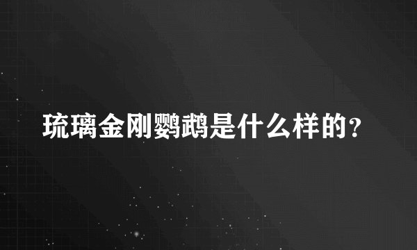 琉璃金刚鹦鹉是什么样的？