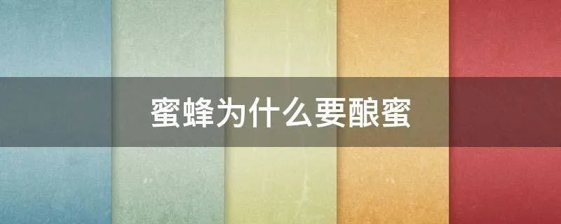蜜蜂为什么要酿蜜